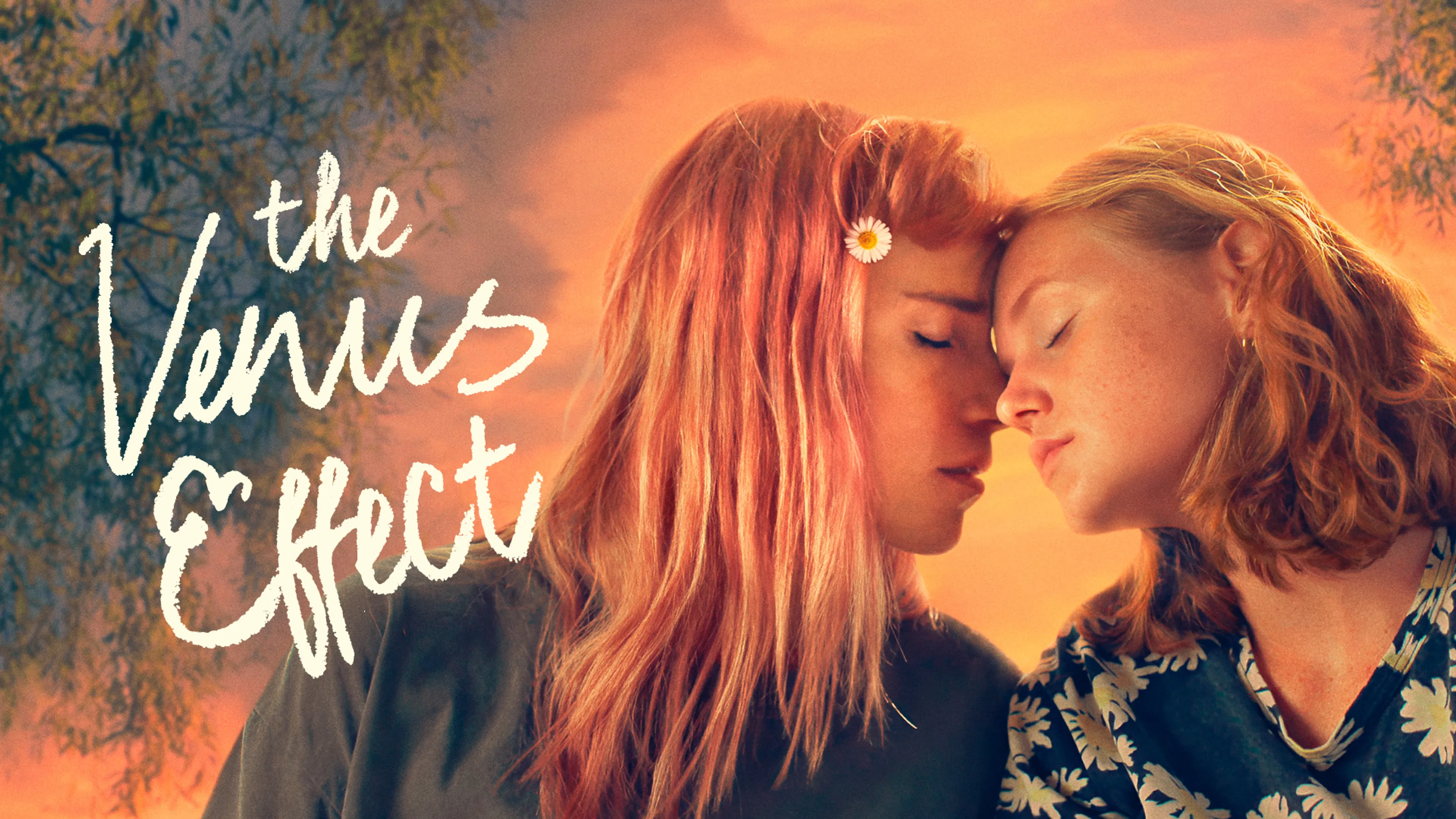 The Venus Effect poster